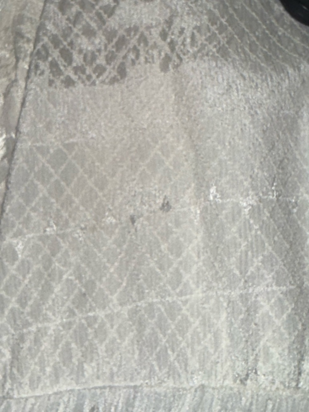 HEMANT & NANDITA Ivory White Lace Mini Dress - Picture 16 of 16
